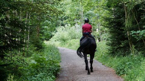Person reitet durch gründen Wald.