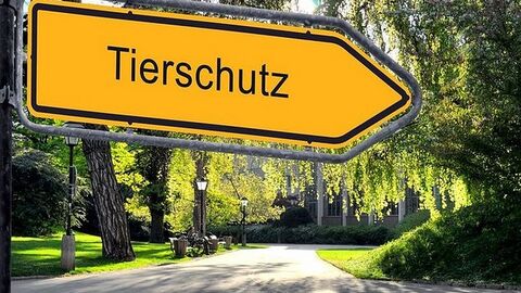Tierschutz Wegweiser