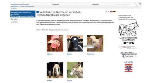 Screenshot Verhaltenswebseite