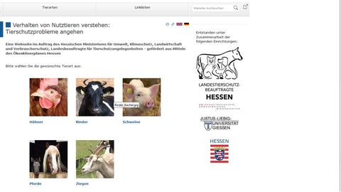 Screenshot Verhaltensfilme Nutztiere